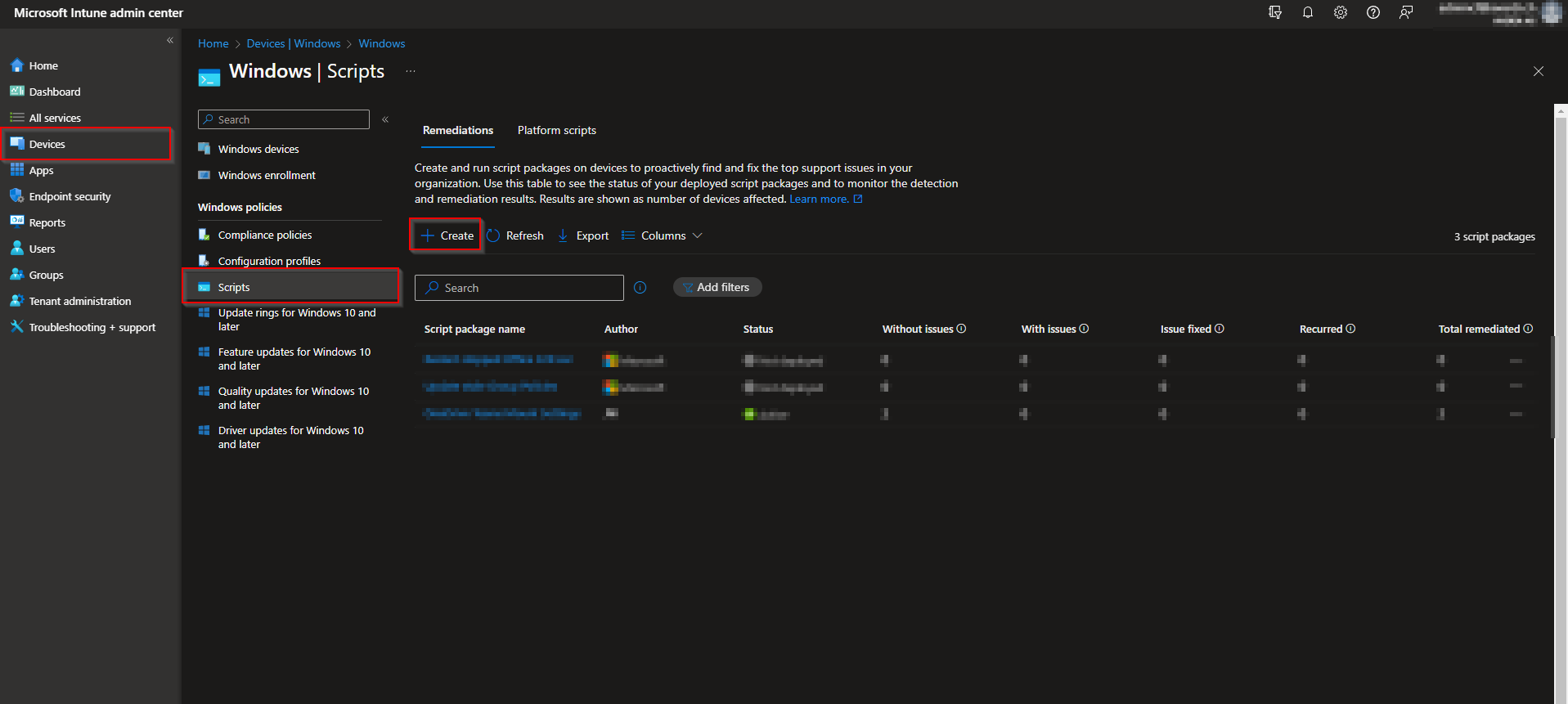 Remediation script Basics tab